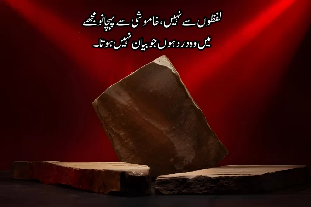 Aesthetic Poetry in Urdu Text – Best 220+Words & Emotions Shayari