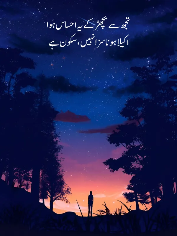 Best Alone Poetry In Urdu Copy Paste