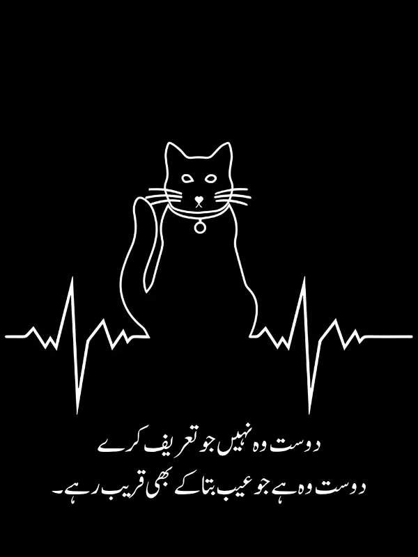 Best Friend Poetry in Urdu Text