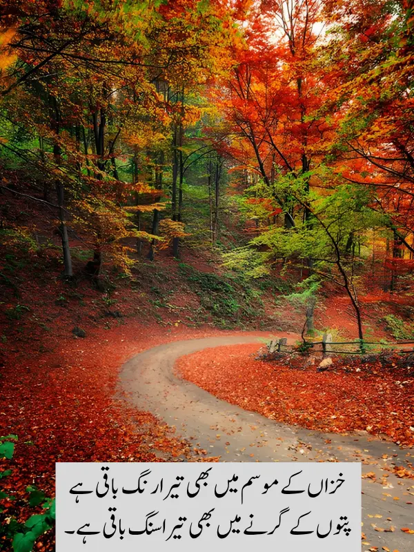 Best November Poetry In Urdu Text