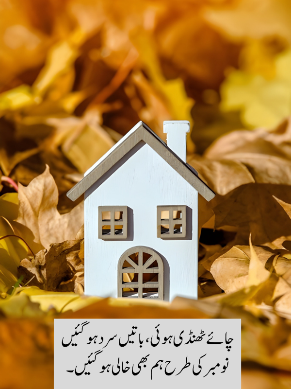 Breakup November Shayari In Urdu