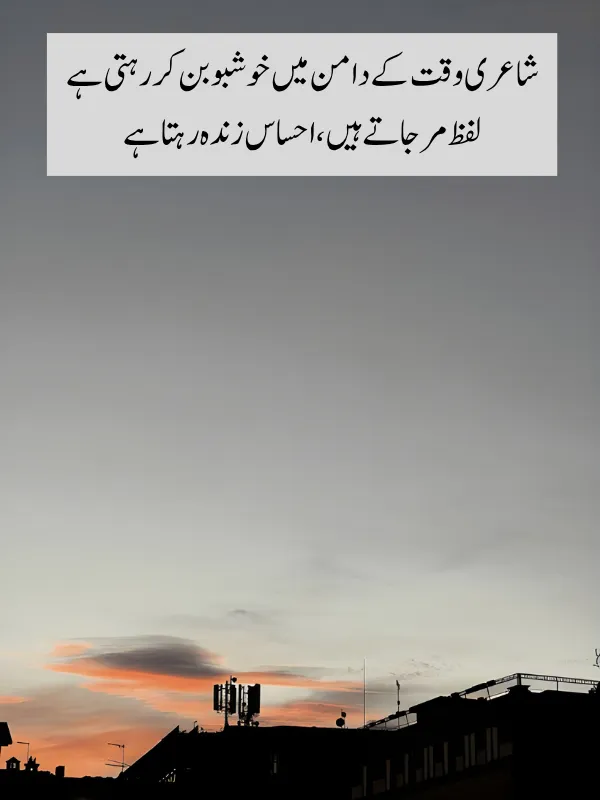 Lasting Impact of Aesthetic Poetry in Urdu