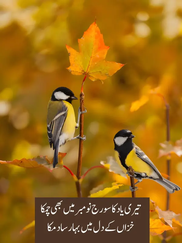 November Poetry In Urdu Copy Paste