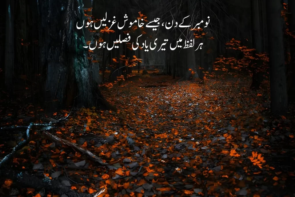 November Poetry in Urdu Text – Best 2 Lines 150+Shayari