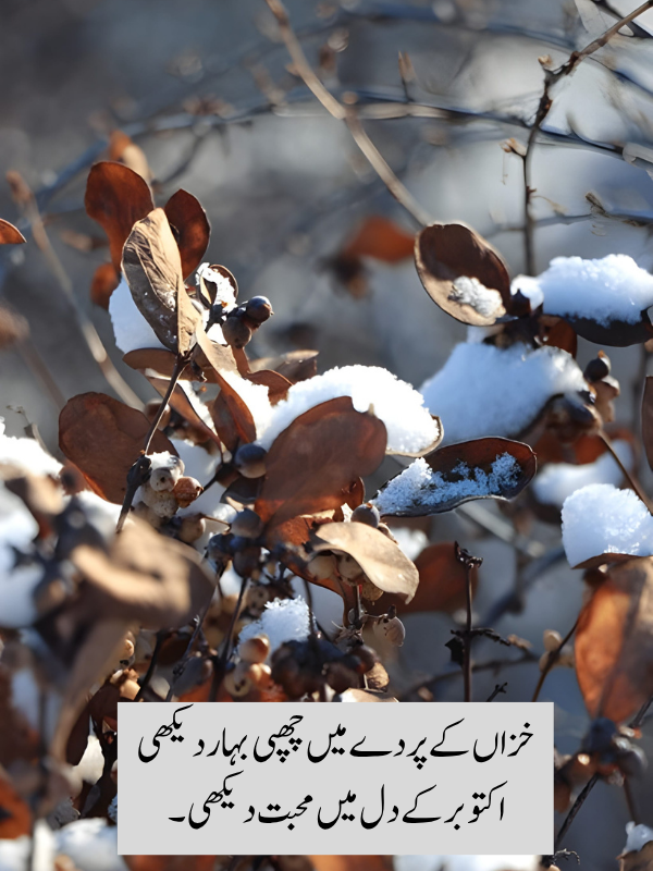 October Poetry In Urdu 2 Lines