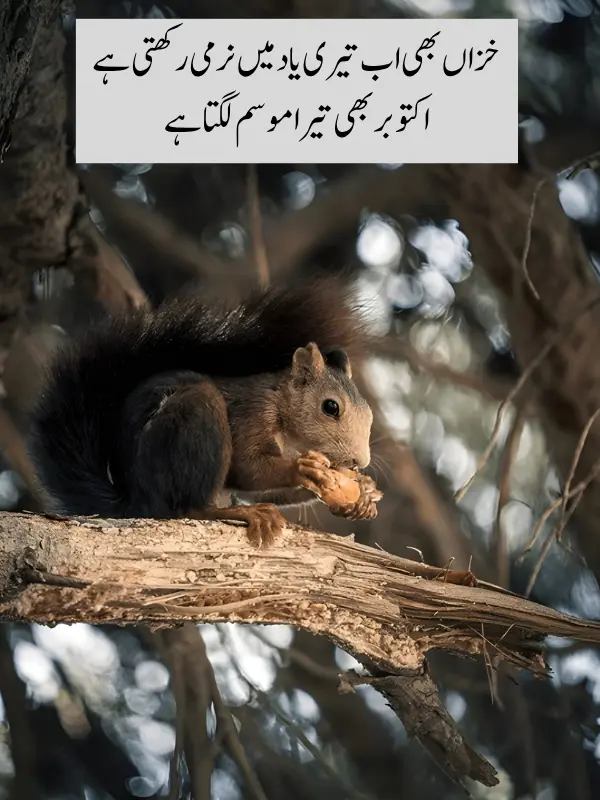 October Poetry In Urdu SMS