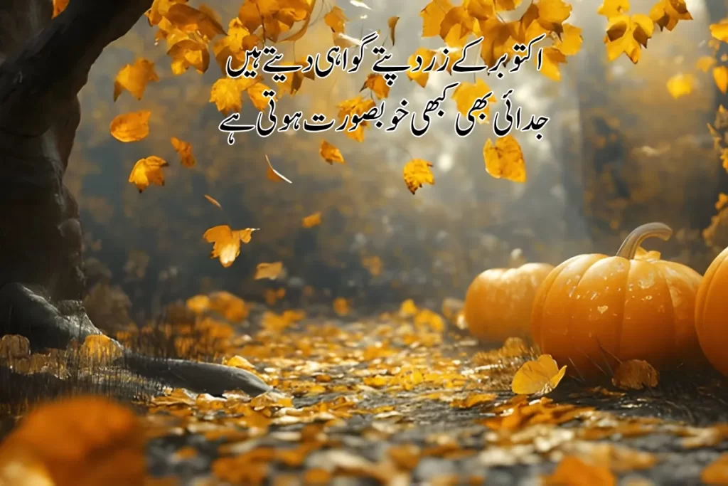 October Poetry In Urdu Text -Best 2 Lines 200+ Shayari_11zon