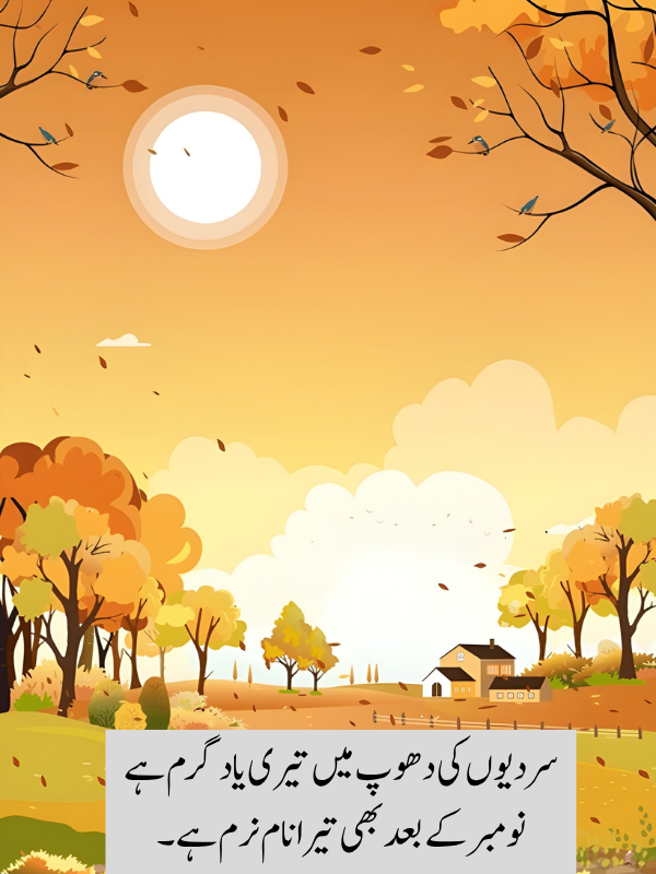 Romantic November Poetry In Urdu 2 lines