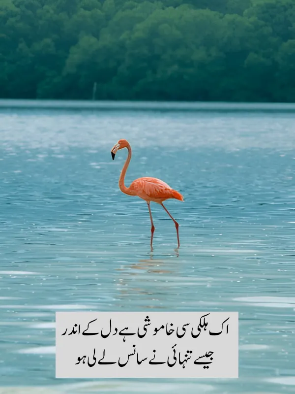 Tanhai poetry in Urdu