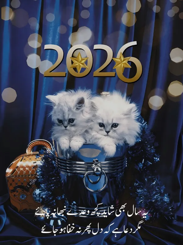 Best New Year poetry in Urdu copy-paste