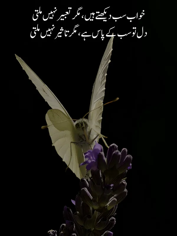 Best Two Lines Urdu Poetry
