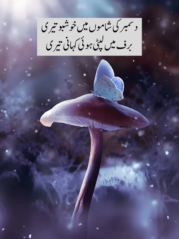December Poetry In Urdu 2 Lines