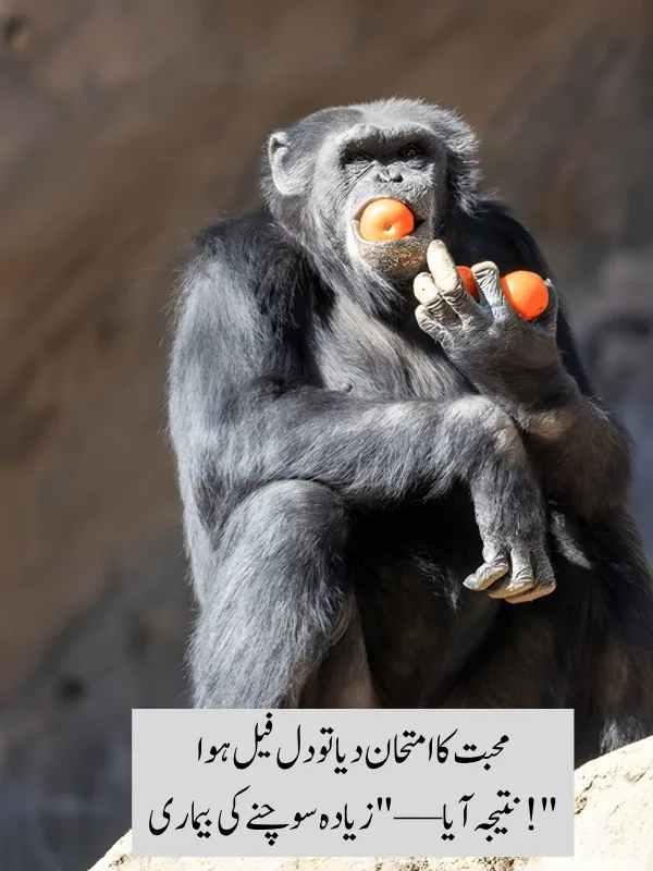 Funny poetry in Urdu text 